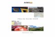 Plan de Acción 2008 - ANH Colombia de acción 2008.pdf · PLAN DE ACCIÓN 2008 5 Nueva estructura de la ANH: de acuerdo con la recomendación del estudio técnico realizado por la