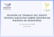 REUNIÓN DE TRABAJO DEL GRUPO TÉCNICO EJECUTIVO …...REUNIÓN DE TRABAJO DEL GRUPO TÉCNICO EJECUTIVO SOBRE GESTIÓN DE RIESGOS DE DESASTRES 2 y 3 de junio de 2016 Lima, Perú 