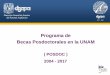 Programa de Becas Posdoctorales en la UNAMPrimer Taller informativo para miembros de la Red de articulación DGAPA –entidades académicasAgosto 2017 Programa de Becas Posdoctorales