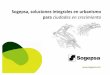 Sogepsa, soliluciones it li ntegrales en urbibanismo para ...sogepsa.com/wp-content/uploads/2014/03/Consultoria_Sogepsa... · • Diseño detallado y planeamiento de • Control y