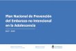Plan Nacional de Prevención del Embarazo no Intencional en ... · Secretaría Nacional de Niñez, Adolescencia y Familia (SENNAF) creada en el marco de la Ley 26.061 de protección