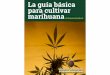 La guía básica para cultivar marihuana...Se pueden leer uno o dos capítulos al día, para asimilar los conocimientos, aunque también se puede leer entera en una tarde, a tu gusto