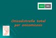 Onicodistrofia total por onicomicosis · Recomendaciones al paciente Evitar el contacto con químicos abrasivos e irritantes. Utilizar guantes de látex (especialmente en su trabajo)