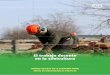 El trabajo decente en la silvicultura · 2019-11-20 · El trabajo decente en la silvicultura 3 1. Fundamento y justificación1 1 A nivel mundial, los bosques proporcionan empleo,