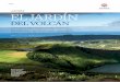DEL VOLCÁN - Azores · 2016-12-03 · VIAJE S 80 AZORES EL JARDÍN DEL VOLCÁN A una vista de pájaro muestra el origen volcánico de este verde tapiz de fertilidad que conforma