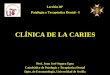 CLÍNICA DE LA CARIES - Universidad de Sevilla...Prof. Juan José Segura Egea Catedrático de Patología y Terapéutica Dental Dpto. de Estomatología, Universidad de Sevilla CLÍNICA