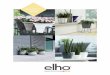 catalogo ELHO p1elho.mx/file/CATALOGO_ELHO.pdf · Los cactus y las plantas suculentas están de regreso. Tras la introducción de la línea b.for, este año hemos añadido una nueva
