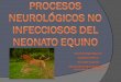 Procesos neurológicos no infecciosos del neonato equino. Neo… · Encefalopatía hipóxica-isquémica Enfermedad del músculo blanco Malformación occipito-atlanto-axial Traumatismos