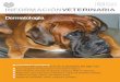 INFORMACIÓNVETERINARIA · 2017-03-03 · INFORMACIÓNVETERINARIA ORGANIZACIÓN COLEGIAL VETERINARIAESPAÑOLA MARZO 03 CONGRESO NACIONAL La veterinaria ante los retos de la ganadería