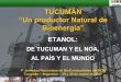 TUCUMÁN “Un productor Natural de Bioenergía”...Ventajas de la Industria Azucarera Generación: Consiste en generar EE en la época fuera de zafra para suministrar a la RED Coincidente