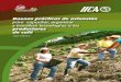 Buenas prácticas de extensión - Promecafepromecafe.net/documents/BibliotecaDigital/buenas...Instituto Interamericano de Cooperación para la Agricultura (IICA), 2013 Buenas prácticas