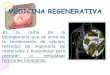 MEDICINA REGENERATIVAinscripciones.adeit-uv.es/econgres/bioval/MedicinaRe... · 2013-07-29 · mantenimiento del cultivo no es suficiente; factores de crecimiento, hormonas, nutrientes,