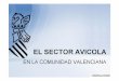 Versión corta de Avicultura Comunidad Valenciana …...• Sector con un elevado nivel de trazabilidad. SINGULARIDADES AVICULTURA COMUNITAT VALENCIANA • Sector Puesta: Los productores