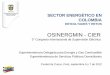 OSINERGMIN - CIER · 2015-09-15 · SECTOR ENERGÉTICO EN COLOMBIA DIFICULTADES Y RETOS Superintendencia Delegada para Energía y Gas Combustible Superintendencia de Servicios Públicos