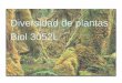 Diversidad de plantas Biol 3052L · 2019-02-12 · •Forman asociaciones simbióticas con cianobacterias. Ej. Importancia ecológica y económica de las briofitas • Sirven de “semilleros”