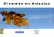 El monte en Asturias · 2011-05-17 · EL MONTE EN ASTURIAS 17. DISTRIBUCIÓN RELATIvA USOS DEL SUELO EN EL PRINCIPADO DE ASTURIAS En el Principado de Asturias el 43% de su superficie