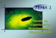 Niveis de organización Bioelementos, Biomoléculas 1... · 2020-04-20 · Niveis de organización • A este nivel tamén pertencen las macromoléculas e as organizacións supramoleculares.As