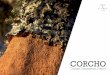 CORCHO - AECORK · Al tratarse de un árbol de hoja perenne, el alcornoque se beneficia de su capacidad de realizar la fotosíntesis durante períodos más largos durante el año