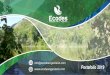 info@ecodesingenieria.com Portafolio 2019...la faja marginal del río Piura y río Chicama. Rio Piura, Río Chicama, Departamento de Piura. Ubicación: País: Cliente: Realilización