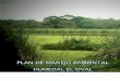 CORTOLIMA | Corporación Autónoma Regional del …...del Magdalena, con excepción de la valoración ecológica realizada por Camargo y Lasso (2002) en los humedales en el Centro