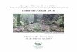 Informe Anual 2016 - Bosque Eterno de los Niños, la ......la búsqueda de otros tipos de pagos de servicios ambientales, como el Fondo de Biodiversidad Sostenible (FSB). Los casos