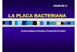 LA PLACA BACTERIANA Acción patógena de la placa ... 2.- Placa bacteria… · Evidencias indirectas de la etiología bacteriana de la caries – Littleton NW, White CL.Dental findings