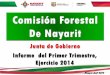 Mayo del 2014 - Nayarittransparencia.nayarit.gob.mx/resources/uploads... · rigen a esta Comisión Forestal de Nayarit como órgano público descentralizado del Gobierno del Estado