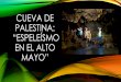CUEVA DE PALESTINA: “Espeleísmo en el Alto Mayo”cuevasdelperu.org/Conferencias/Tarapoto2016/Vargas.pdf• AL LLEGAR A LA CIUDAD SE ENCONTRÓ GRAN APOYO POR PARTE DEL GOBIERNO