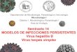 Seminario 14 MODELOS DE INFECCIONES PERSISTENTES Virus ... 14 CB... · Virus herpes simplex . OBJETIVOS 1. Conocer las relaciones entre estructura y función de algunos virus que