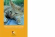 CONSEJOS GENERALES PARA EL CUIDADO Y COMPRENSIÓN DE …guardafaro.net/download/consejos gatos adoptados.pdf · 2012-02-23 · majo, parece un perrito”, consiste simplemente en