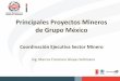 Principales Proyectos Mineros de Grupo México...• El pasado 11 de octubre se llevó a cabo una reunión de trabajo con uno de los principales grupos mineros. • El objetivo de