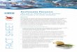 Anchoveta Peruana - IFFO Anchovy - Feed...FACT SHEET Resumen De entre todas las especies de peces, la anchoveta peruana es una de las que tiene más contenido de ácidos grasos poliinsaturados