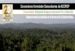Titulo de la Presentación - CBDManejo forestal sostenible en la Reserva de la Biosfera Maya ÅcOFOP . Concesiones Forestales y Cooperativas en la Reserva de la Biósfera Maya ÅcOFOP