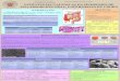 ESTRATEGIAS GALÉNICAS EN SÍNDROMES DE MALABSORCIÓN …147.96.70.122/Web/TFG/TFG/Poster/CARMEN SOBREROCA... · - Revisión bibliográfica en bases de datos: Google Académico, Pubmed