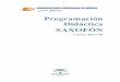Programación Didáctica SAXOFÓN - Conservatorio de Bazaconservatoriodebaza.com/.../PD-SAXO-EEBB-2017-2018.pdf · 3 1. INTRODUCCIÓN 1.1. Presentación Tal y como se recoge en la