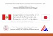 Cooperación y Desarrollo en el Campo de la Prevención de … · 2020-01-30 · Cooperación y Desarrollo en el Campo de la Prevención de Desastres entre Perú y Japón PHD. ING