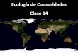 Ecología de Comunidades Clase 14 - WordPress.com...2019/05/15  · Examinaron relaciones entre 100 especies – Invertebrados, algas, peces, etc. • Tres tipos de interacciones Tróficas
