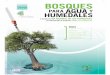 BOSQUES - Ramsar · 2015-03-17 · Nuestros folletos del DMH están dirigidos primordialmente a los actores principales del DMH de todo el mundo. El de este año pretende concienciar