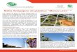 Presentación1 - APYPSA · 2019-12-05 · cultivos como berries (arándanos, fresas, zarzamoras, grosellas, frutillas, frambuesas y cerezas), graneros, viñedos, plantaciones de maíz