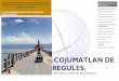 COJUMATLAN DE REGULES - CUAADcuaad.udg.mx/sites/default/files/adjuntos/cojumatlan_de_regules.pdf · En el municipio predomina la pradera, huisache, maguey, yuca, pirul, acebuche,