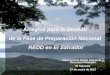 Arreglos para la Gestión de la Fase de Preparación ... · REDD en El Salvador Ministerio de Medio Ambiente y Recursos Naturales El Salvador 27 de enero de 2010. ... Plan Nacional