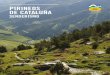 PIRINEOS DE CATALUÑA...de las cumbres a primera hora de la mañana en el lago más grande de los Pirineos, el Certascan; la vista del lago con el refugio de Pinet y las montañas