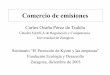 Carlos Ocaña Pérez de Tudelaecodes.org/docs/energia/pres_emisiones_ocana.pdf · – metalurgia – fabricación de cemento –papel – vidrio y cerámica • obligadas a disponer