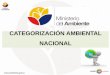 CATEGORIZACIÓN AMBIENTAL NACIONAL“N CATEGOR… · Categorización Ambiental Categoría III Facilitador bajo Mediano Licencia Ambiental Categoría III Declaratoria de Impacto Ambiental