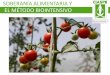 SOBERANÍA ALIMENTARIA Y EL MÉTODO BIOINTENSIVOciaspemexico.com/wp-content/uploads/2012/07/CIASPE-Metodo-Bioi… · El derecho a definir nuestros propios alimentos y métodos de
