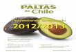 Proyecciones Temporada 2012/2013€¦ · EDICIÓN ESPECIAL INTERNACIONAL Chile PALTAS de Proyecciones Temporada 2012/2013 EstratEgias dE markEting sabor y calidad, atributos que diferencian