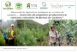 “Desarrollo de Agricultura inteligente en un clima de ... · Distrito de Yamango, Provincia de Morropón, June 2008. a tJLK t : Programa AdapCC en Piura. 2008 y 2009 a través GTZ