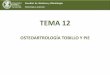 Competencias y resultados de Aprendizajesb1aaab66bf7bfbb5.jimcontent.com/download/version/1418752102/… · Facultad de Medicina y Odontología . Embriología y Anatomía I . 3 GRUPOS