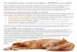 La medicación contra el dolor (AINEs) y su gato · La medicación contra el dolor (AINEs) y su gato Se ha prescrito un analgésico llamado “antiinflamatorio no esteroideo” (o