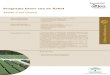 Programa Crece con tu Árbol - Junta de Andalucía€¦ · información relativa a las plantas y al vivero. • Competencia en matemáticas, conociendo y manejando los elementos matemáticos